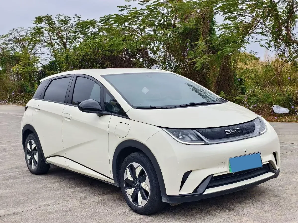 2024 BYD Dolphin BEV 44.928KWH,autocango,china used car exporter,china ev exporter,chinese used car exporter,chinese used ev exporter