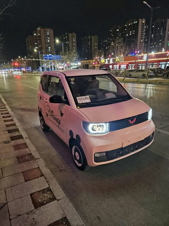 2021 WuLing HongGuang MINI EV BEV 9KWH,autocango,china used car exporter,china ev exporter,chinese used car exporter,chinese used ev exporter