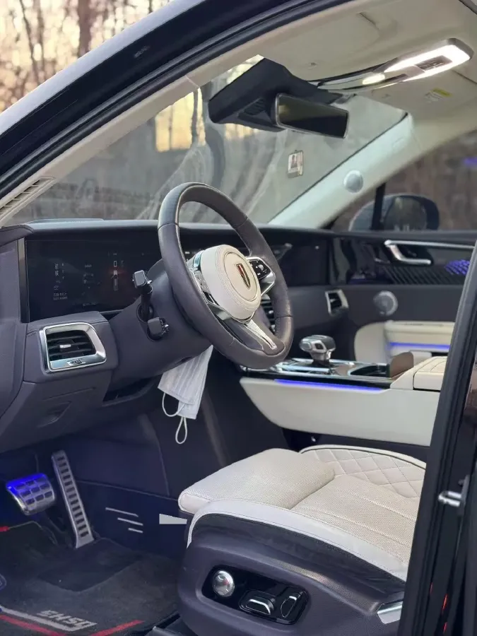 2021 HongQi E-HS9 BEV 99KWH,autocango,china used car exporter,china ev exporter,chinese used car exporter,chinese used ev exporter