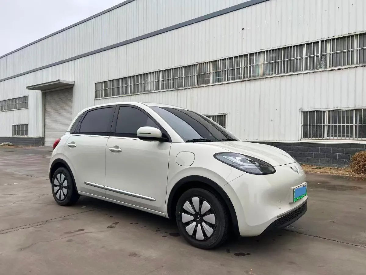 2025 WuLing BinGuo BEV,autocango,china used car exporter,china ev exporter,chinese used car exporter,chinese used ev exporter