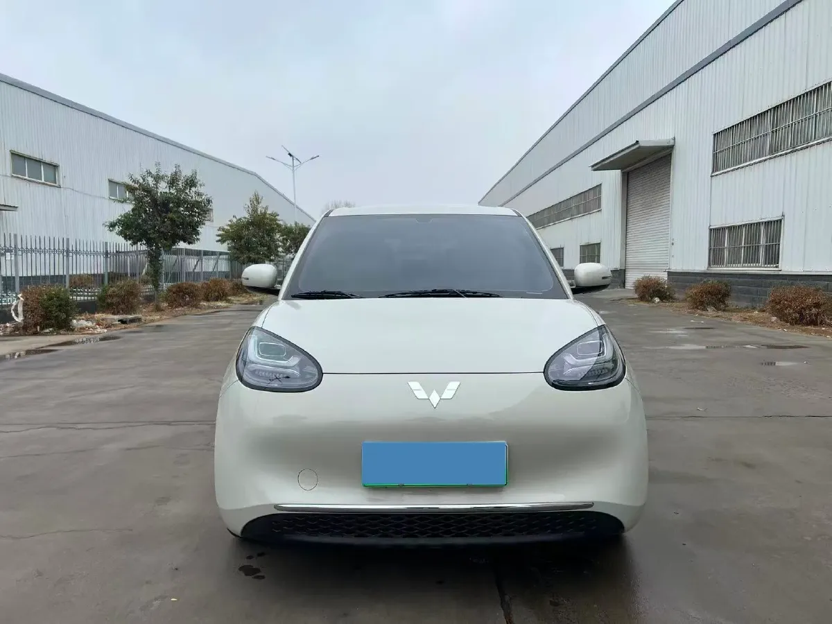 2025 WuLing BinGuo BEV,autocango,china used car exporter,china ev exporter,chinese used car exporter,chinese used ev exporter