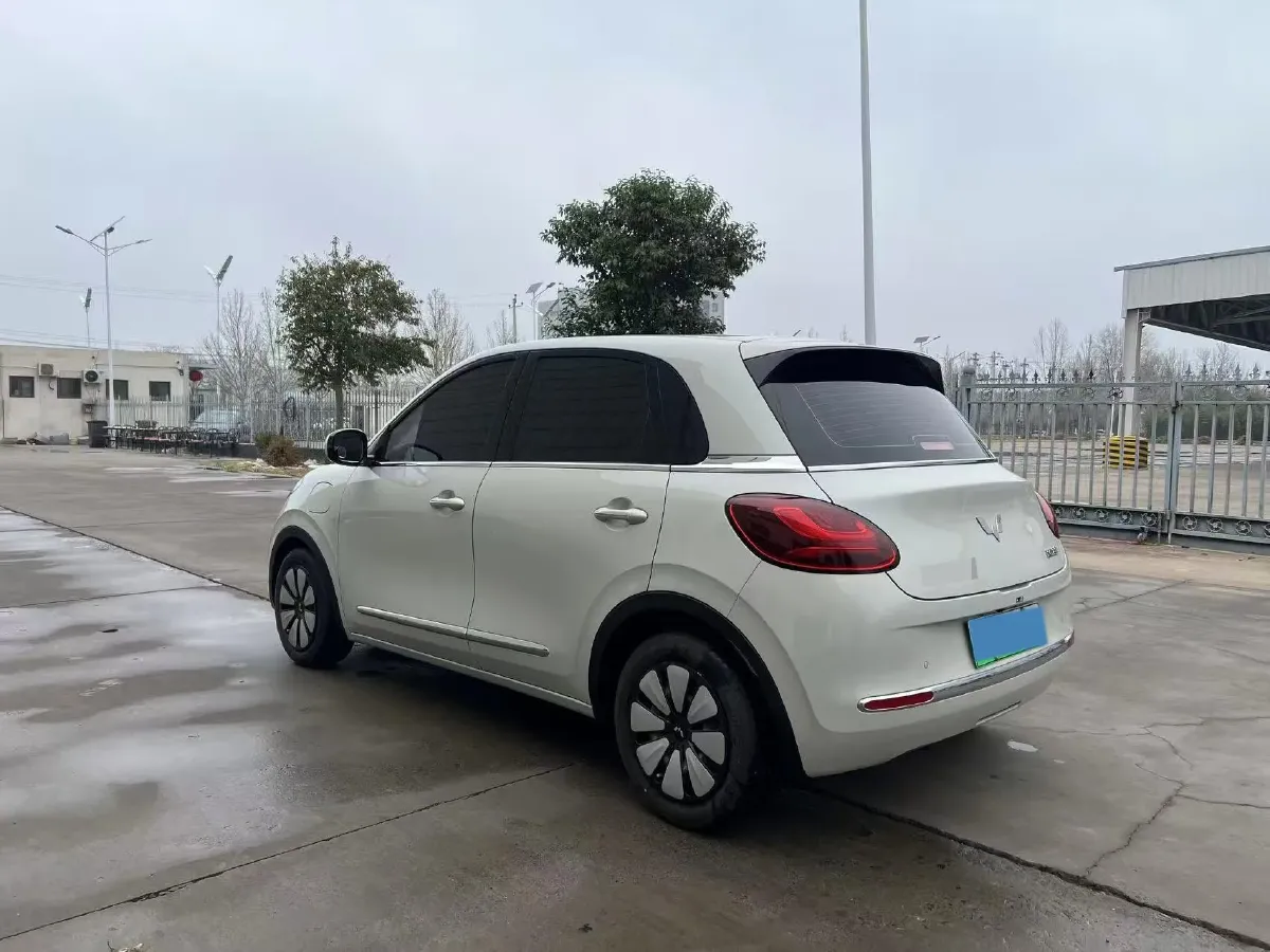 2025 WuLing BinGuo BEV,autocango,china used car exporter,china ev exporter,chinese used car exporter,chinese used ev exporter