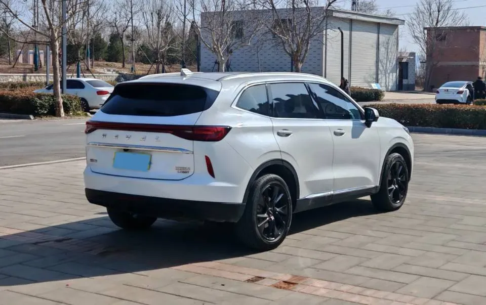 2021 Haval H6 2.0T 211HP L4 7DCT,autocango,china used car exporter,china ev exporter,chinese used car exporter,chinese used ev exporter