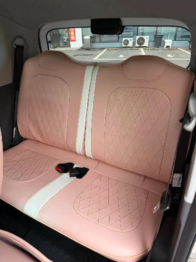 2021 WuLing HongGuang MINI EV BEV 9.3KWH,autocango,china used car exporter,china ev exporter,chinese used car exporter,chinese used ev exporter