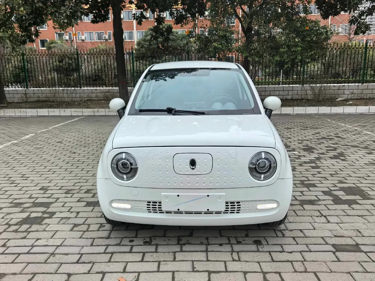 2021 Ora BlackCat BEV 28.5KWH,autocango,china used car exporter,china ev exporter,chinese used car exporter,chinese used ev exporter