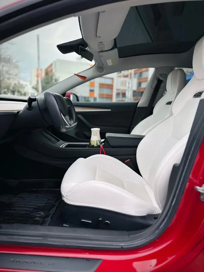 2021 Tesla Model 3 BEV 76.8KWH,autocango,china used car exporter,china ev exporter,chinese used car exporter,chinese used ev exporter