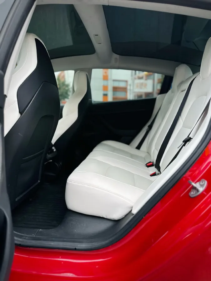 2021 Tesla Model 3 BEV 76.8KWH,autocango,china used car exporter,china ev exporter,chinese used car exporter,chinese used ev exporter