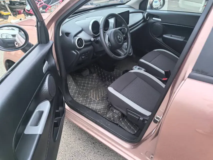 2019 Ora BlackCat BEV 33KWH,autocango,china used car exporter,china ev exporter,chinese used car exporter,chinese used ev exporter