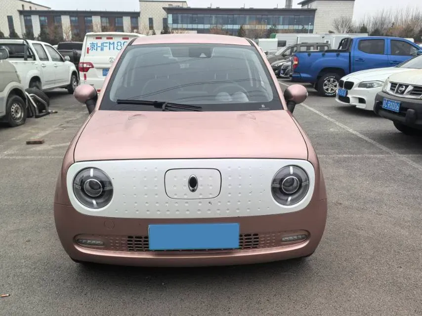 2019 Ora BlackCat BEV 33KWH,autocango,china used car exporter,china ev exporter,chinese used car exporter,chinese used ev exporter