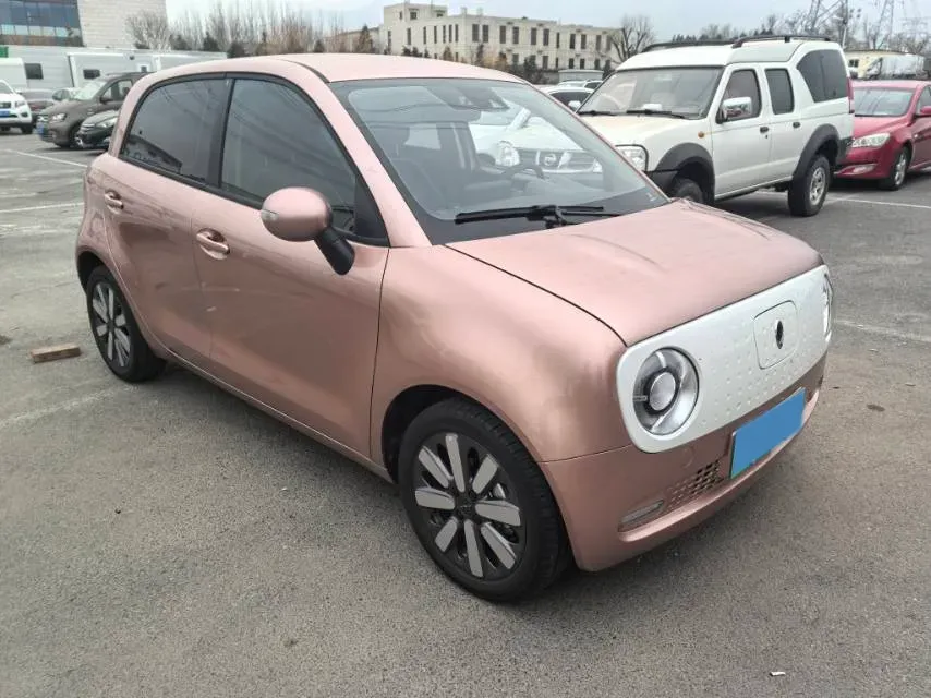 2019 Ora BlackCat BEV 33KWH,autocango,china used car exporter,china ev exporter,chinese used car exporter,chinese used ev exporter