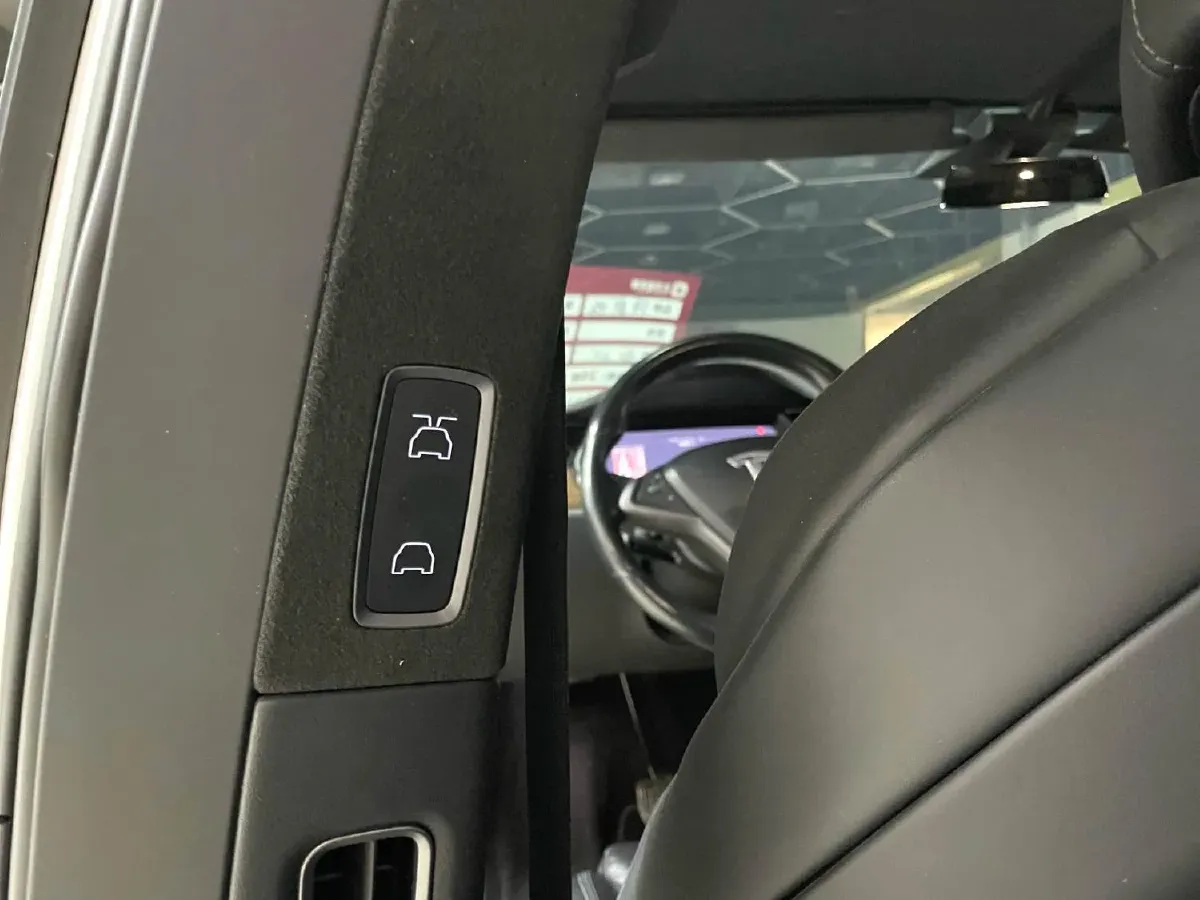 2019 Tesla Model X BEV 100KWH,autocango,china used car exporter,china ev exporter,chinese used car exporter,chinese used ev exporter