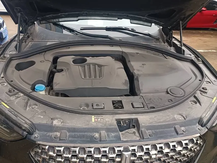 2020 WEY VV7 2.0T 227HP L4 7DCT,autocango,china used car exporter,china ev exporter,chinese used car exporter,chinese used ev exporter