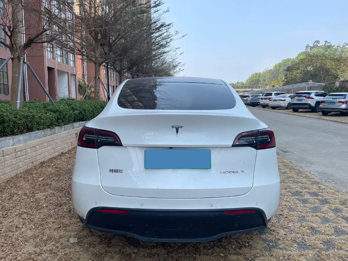 2021 Tesla Model Y BEV 60KWH,autocango,china used car exporter,china ev exporter,chinese used car exporter,chinese used ev exporter