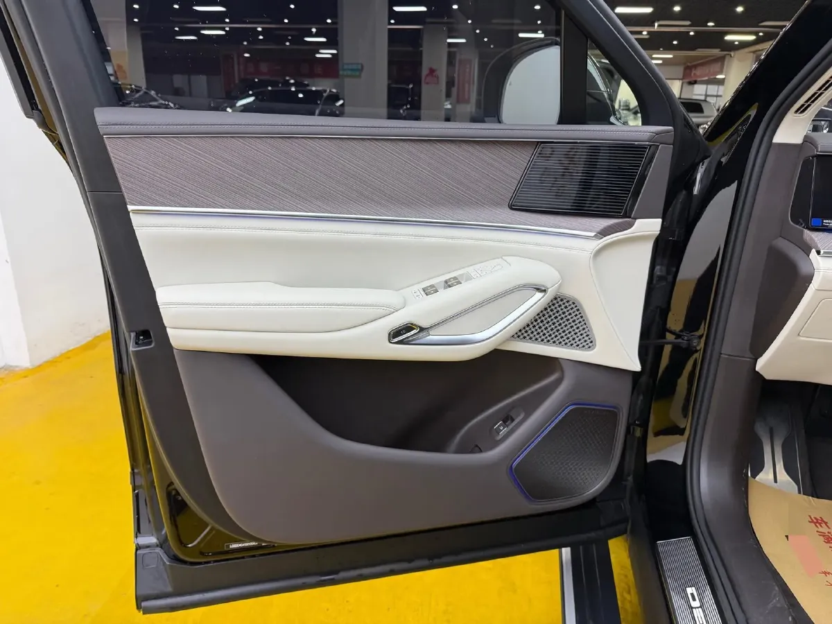 2025 Denza DenzaN9 2.0T 207HP L4 E-CVT PHEV,autocango,china used car exporter,china ev exporter,chinese used car exporter,chinese used ev exporter