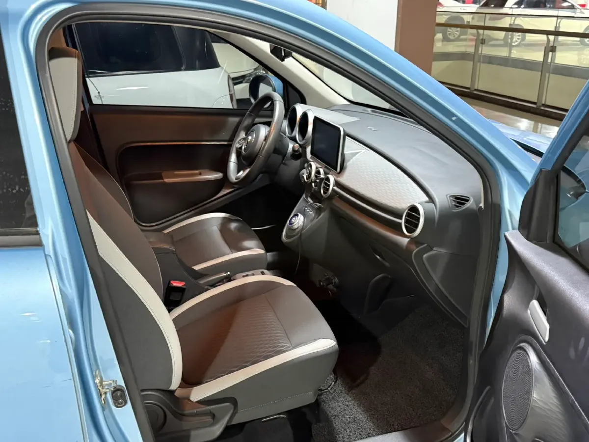 2019 Ora BlackCat BEV 28.5KWH,autocango,china used car exporter,china ev exporter,chinese used car exporter,chinese used ev exporter