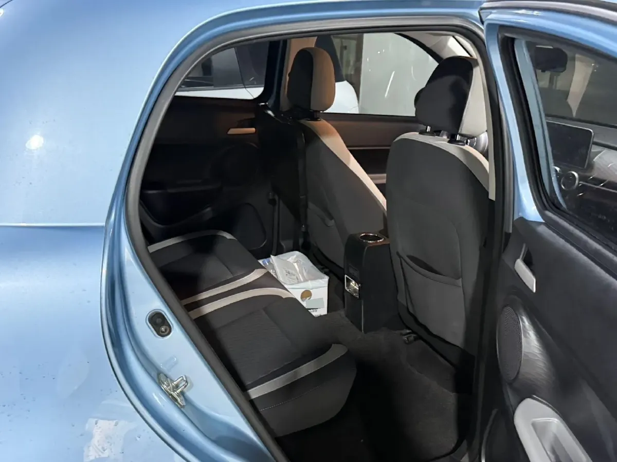 2019 Ora BlackCat BEV 28.5KWH,autocango,china used car exporter,china ev exporter,chinese used car exporter,chinese used ev exporter