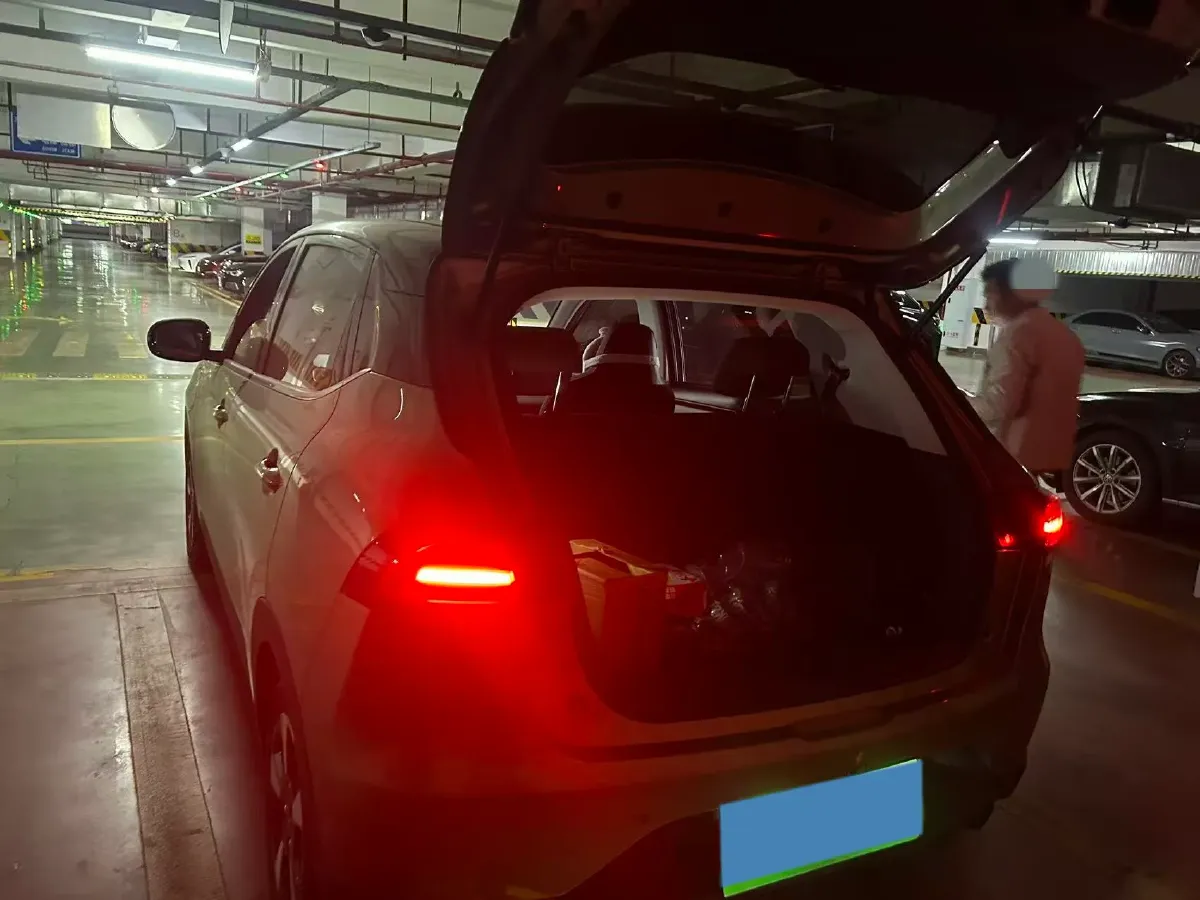 2024 WuLing BinGuoPLUS BEV 50.6KWH,autocango,china used car exporter,china ev exporter,chinese used car exporter,chinese used ev exporter