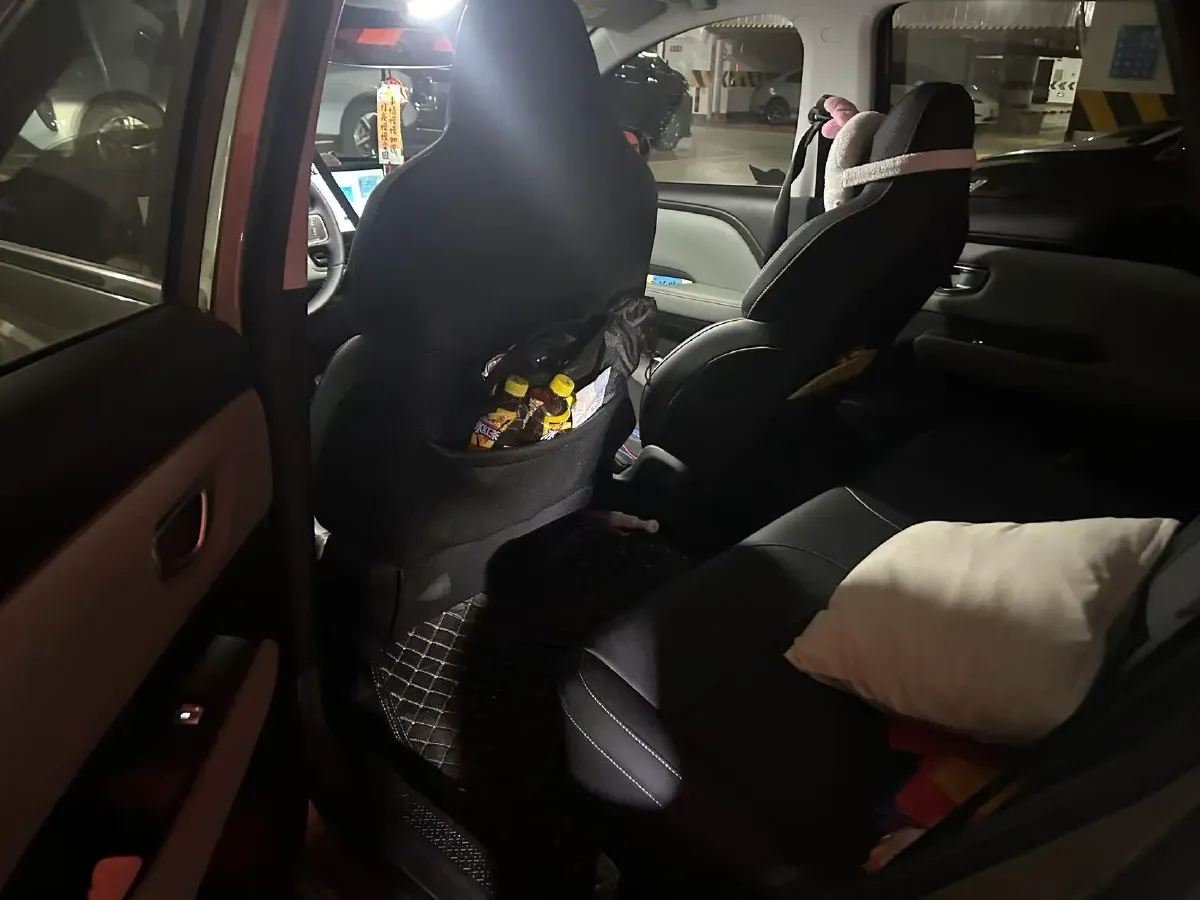 2024 WuLing BinGuoPLUS BEV 50.6KWH,autocango,china used car exporter,china ev exporter,chinese used car exporter,chinese used ev exporter