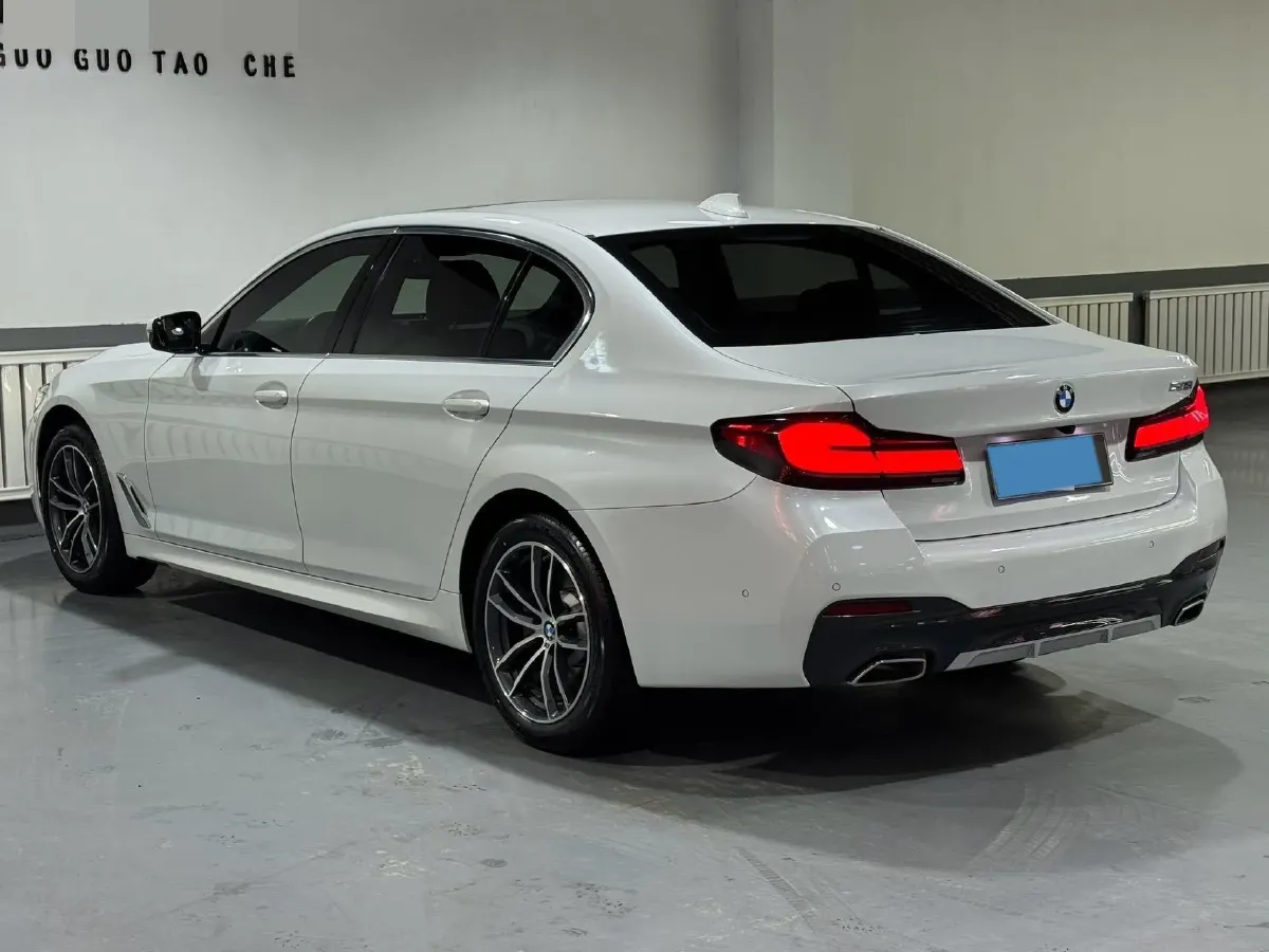 2021 BMW 5 Series 2.0T 184HP L4 8AT,autocango,china used car exporter,china ev exporter,chinese used car exporter,chinese used ev exporter