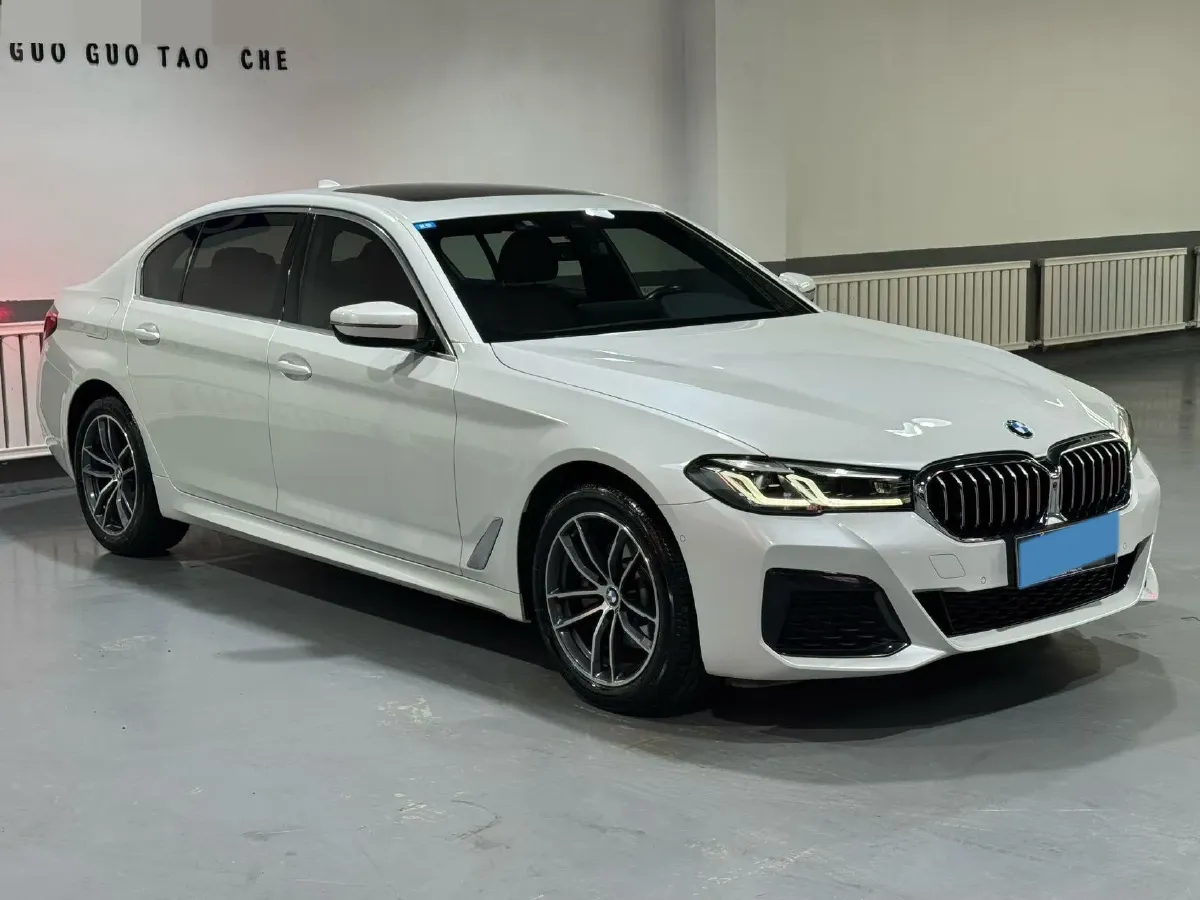 2021 BMW 5 Series 2.0T 184HP L4 8AT,autocango,china used car exporter,china ev exporter,chinese used car exporter,chinese used ev exporter