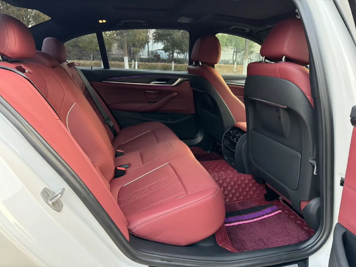 2023 BMW 5 Series 2.0T 245HP L4 8AT,autocango,china used car exporter,china ev exporter,chinese used car exporter,chinese used ev exporter