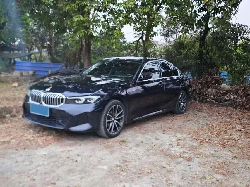2024 BMW 3 Series 2.0T 156HP L4 8AT,autocango,china used car exporter,china ev exporter,chinese used car exporter,chinese used ev exporter
