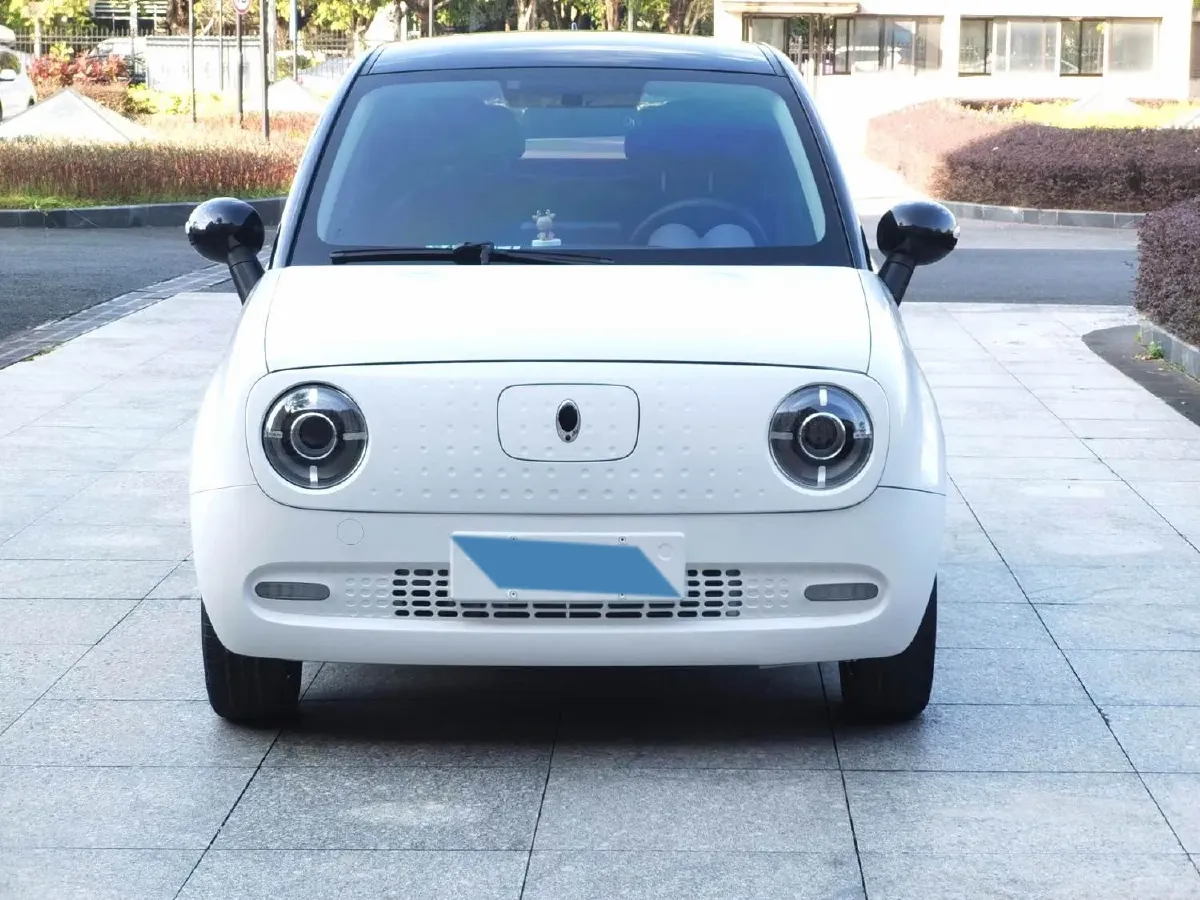 2021 Ora BlackCat BEV 33KWH,autocango,china used car exporter,china ev exporter,chinese used car exporter,chinese used ev exporter