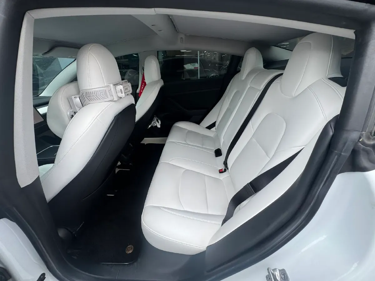 2022 Tesla Model 3 BEV 60KWH,autocango,china used car exporter,china ev exporter,chinese used car exporter,chinese used ev exporter