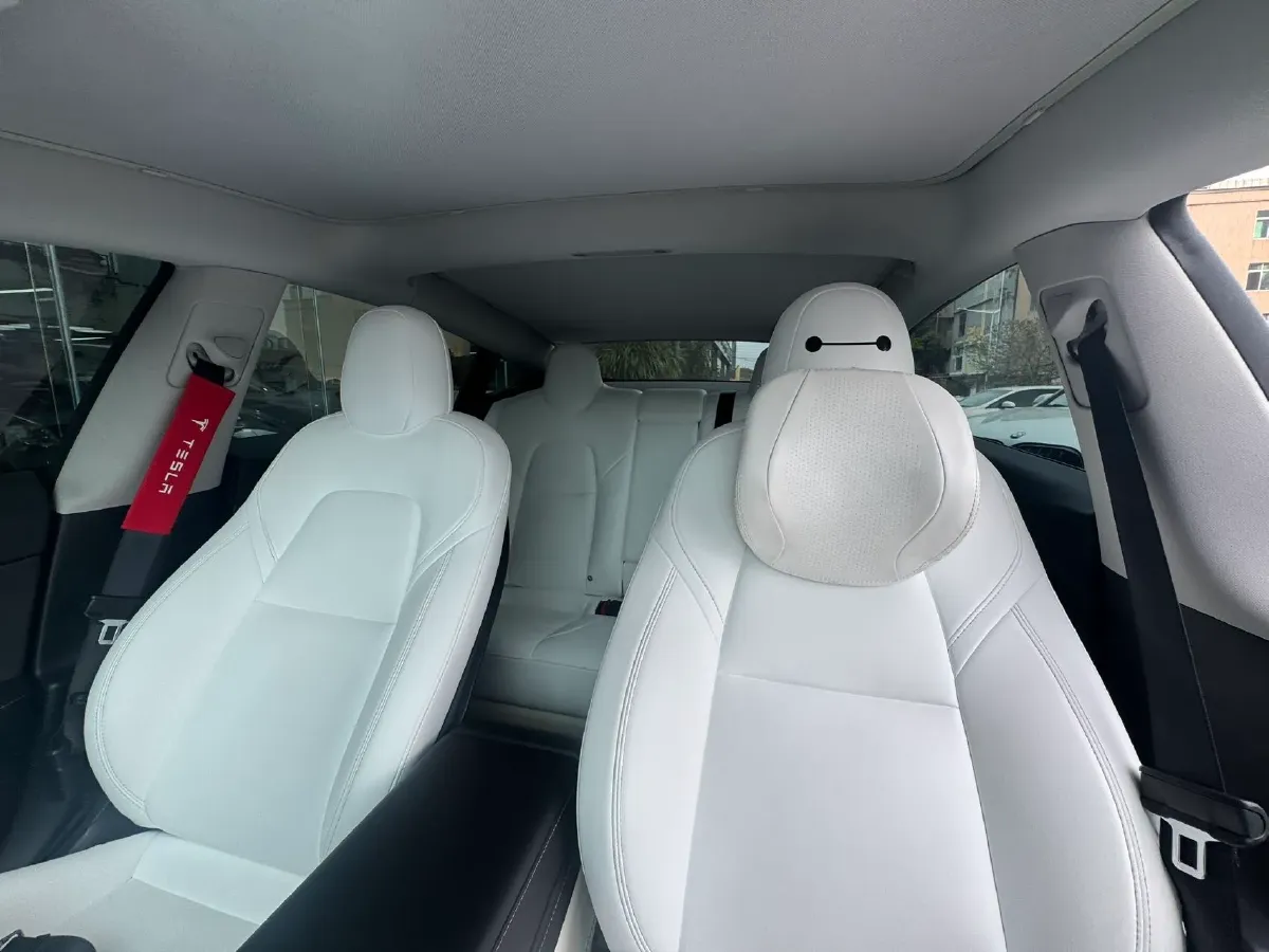 2022 Tesla Model 3 BEV 60KWH,autocango,china used car exporter,china ev exporter,chinese used car exporter,chinese used ev exporter