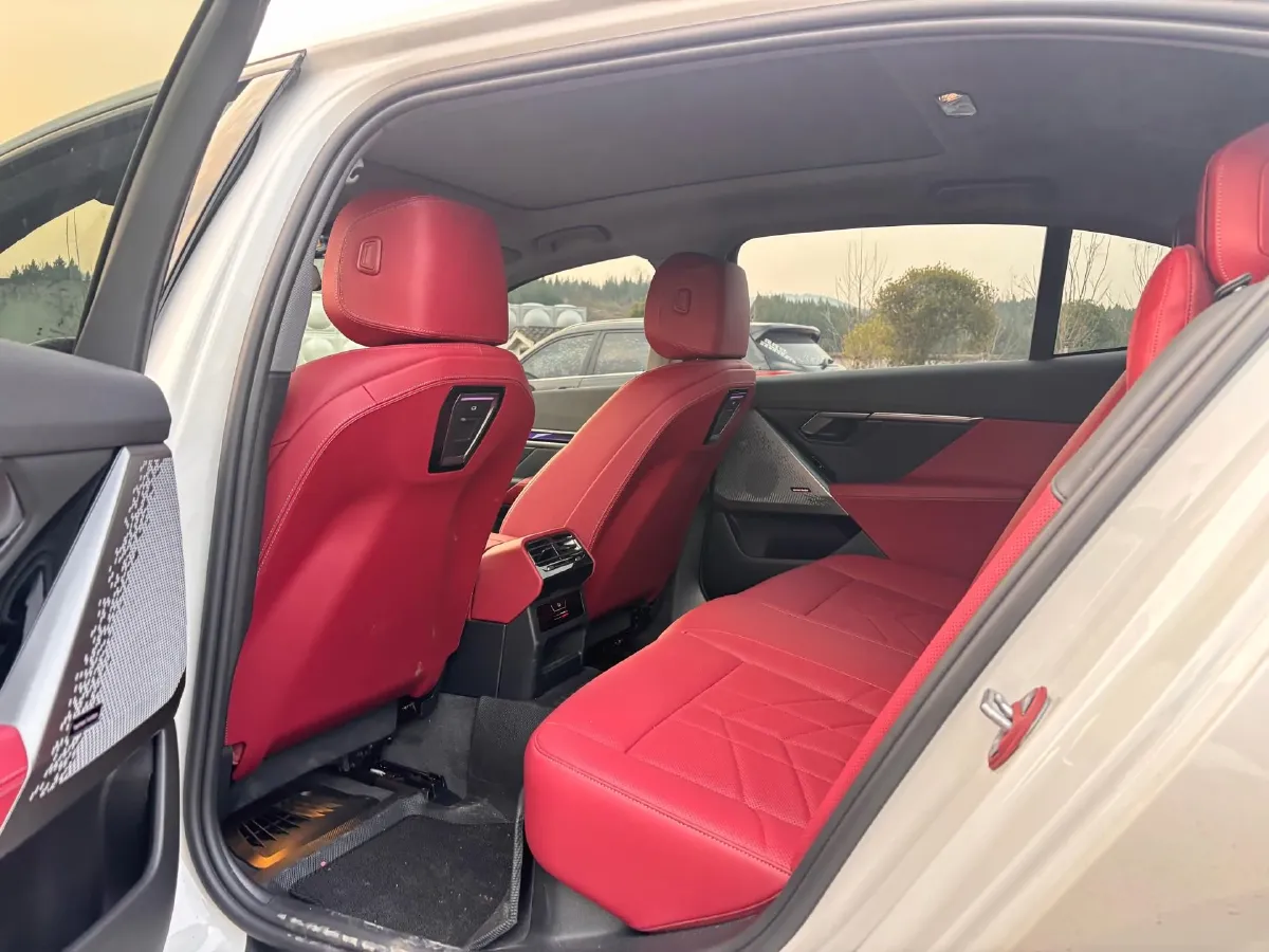 2025 BMW 5 Series 2.0T 258HP L4 8AT,autocango,china used car exporter,china ev exporter,chinese used car exporter,chinese used ev exporter