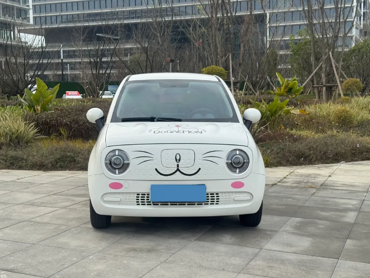 2021 Ora BlackCat BEV 30.3KWH,autocango,china used car exporter,china ev exporter,chinese used car exporter,chinese used ev exporter