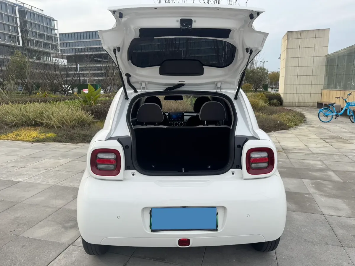 2021 Ora BlackCat BEV 30.3KWH,autocango,china used car exporter,china ev exporter,chinese used car exporter,chinese used ev exporter