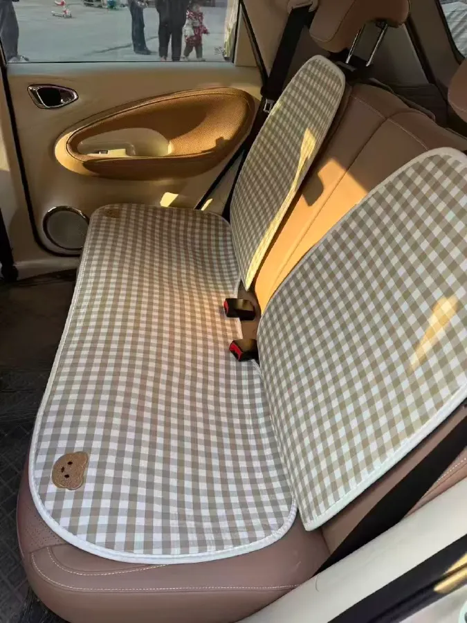 2024 WuLing BinGuo BEV 31.9KWH,autocango,china used car exporter,china ev exporter,chinese used car exporter,chinese used ev exporter