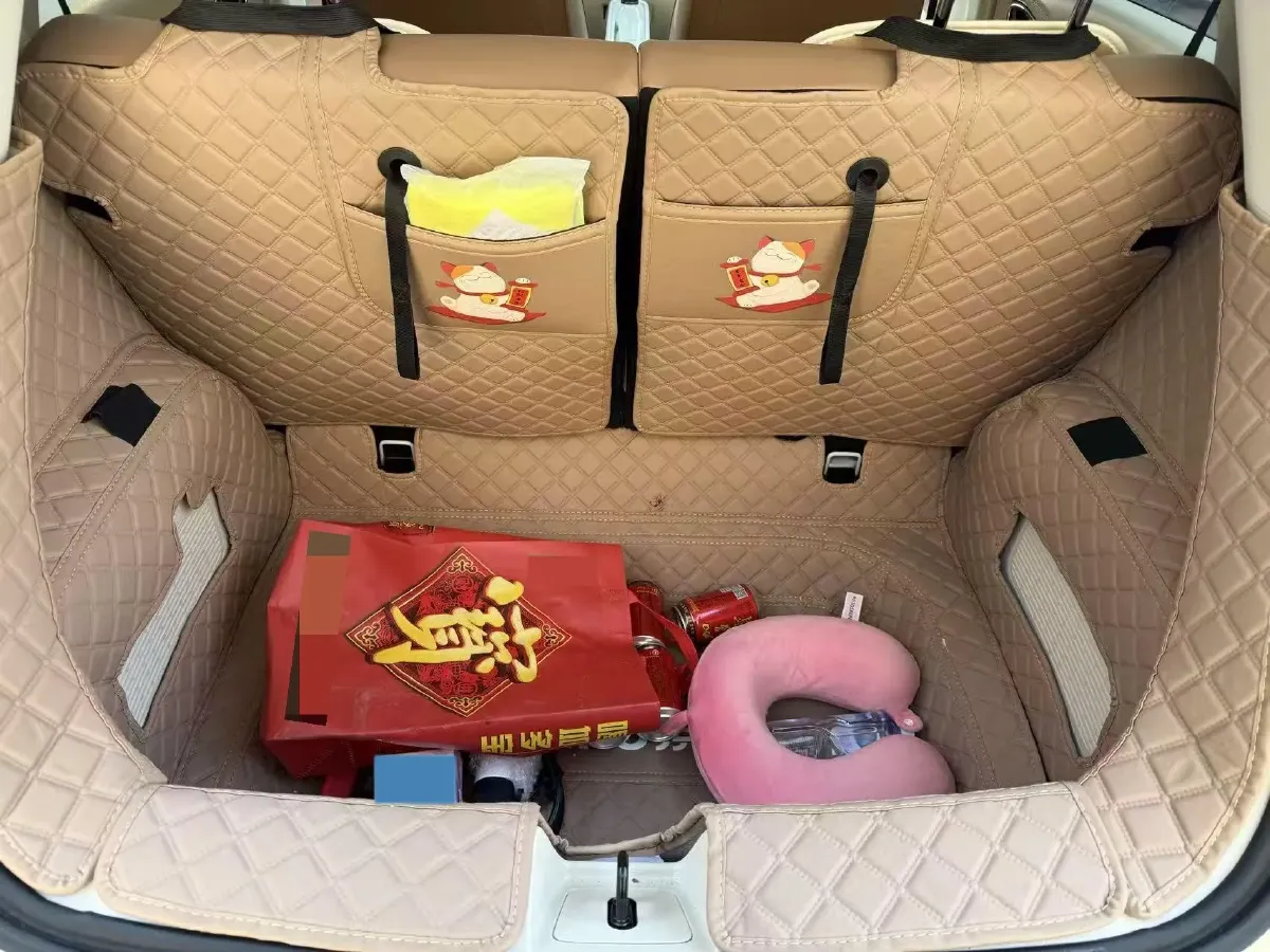 2024 WuLing BinGuo BEV 31.9KWH,autocango,china used car exporter,china ev exporter,chinese used car exporter,chinese used ev exporter