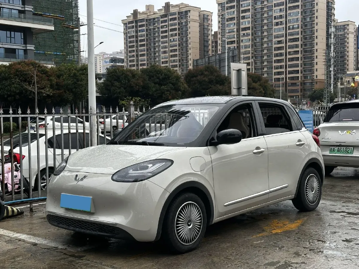 2023 WuLing BinGuo BEV 31.9KWH,autocango,china used car exporter,china ev exporter,chinese used car exporter,chinese used ev exporter
