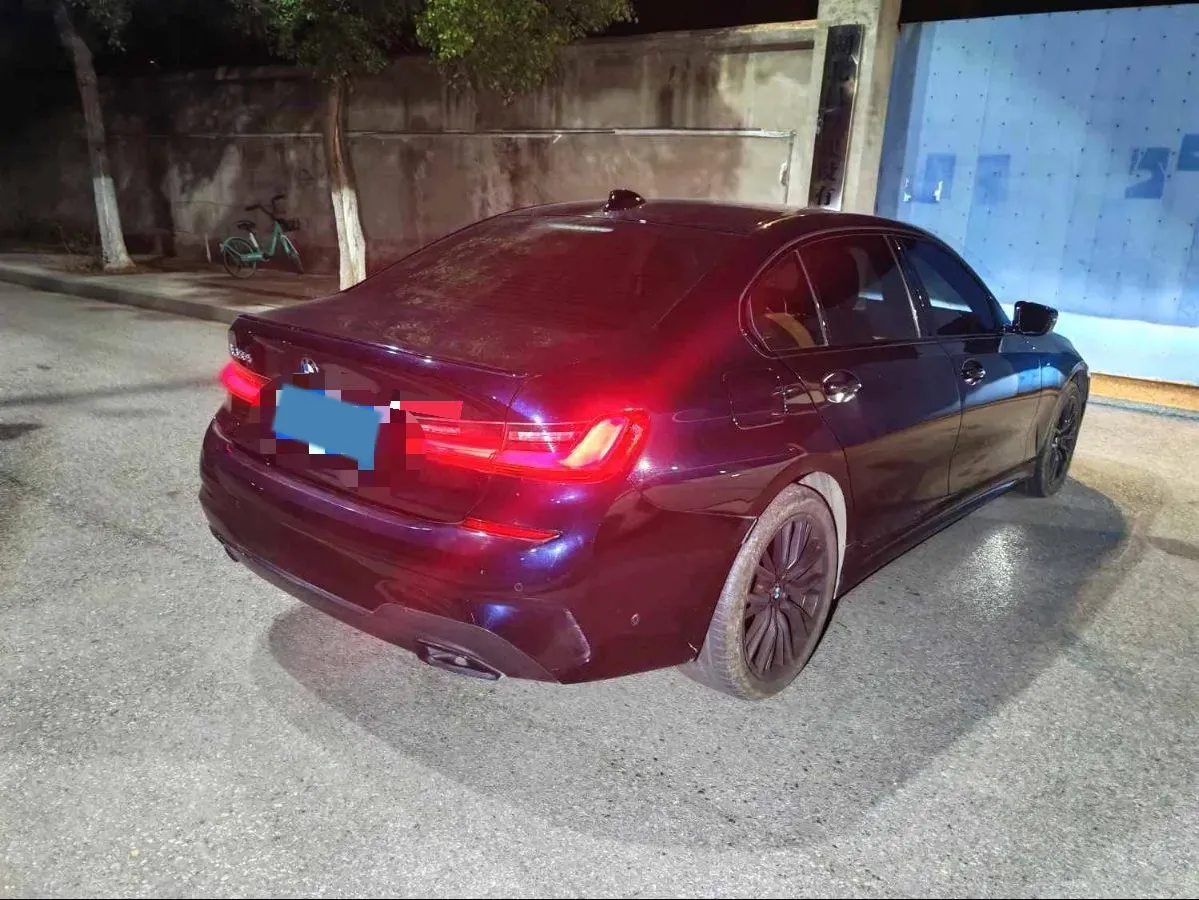 2021 BMW 3 Series 2.0T 184HP L4 8AT,autocango,china used car exporter,china ev exporter,chinese used car exporter,chinese used ev exporter