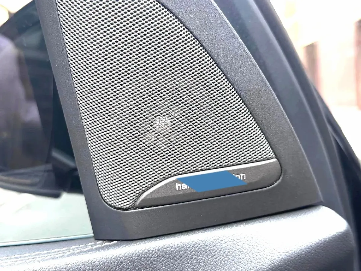 2022 BMW X5 2.0T 245HP L4 8AT,autocango,china used car exporter,china ev exporter,chinese used car exporter,chinese used ev exporter