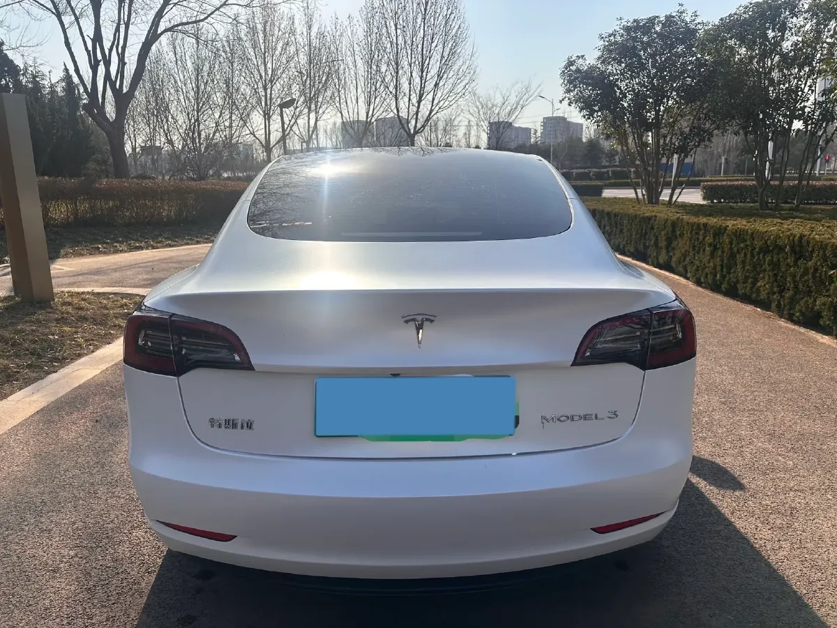2021 Tesla Model 3 BEV 55KWH,autocango,china used car exporter,china ev exporter,chinese used car exporter,chinese used ev exporter