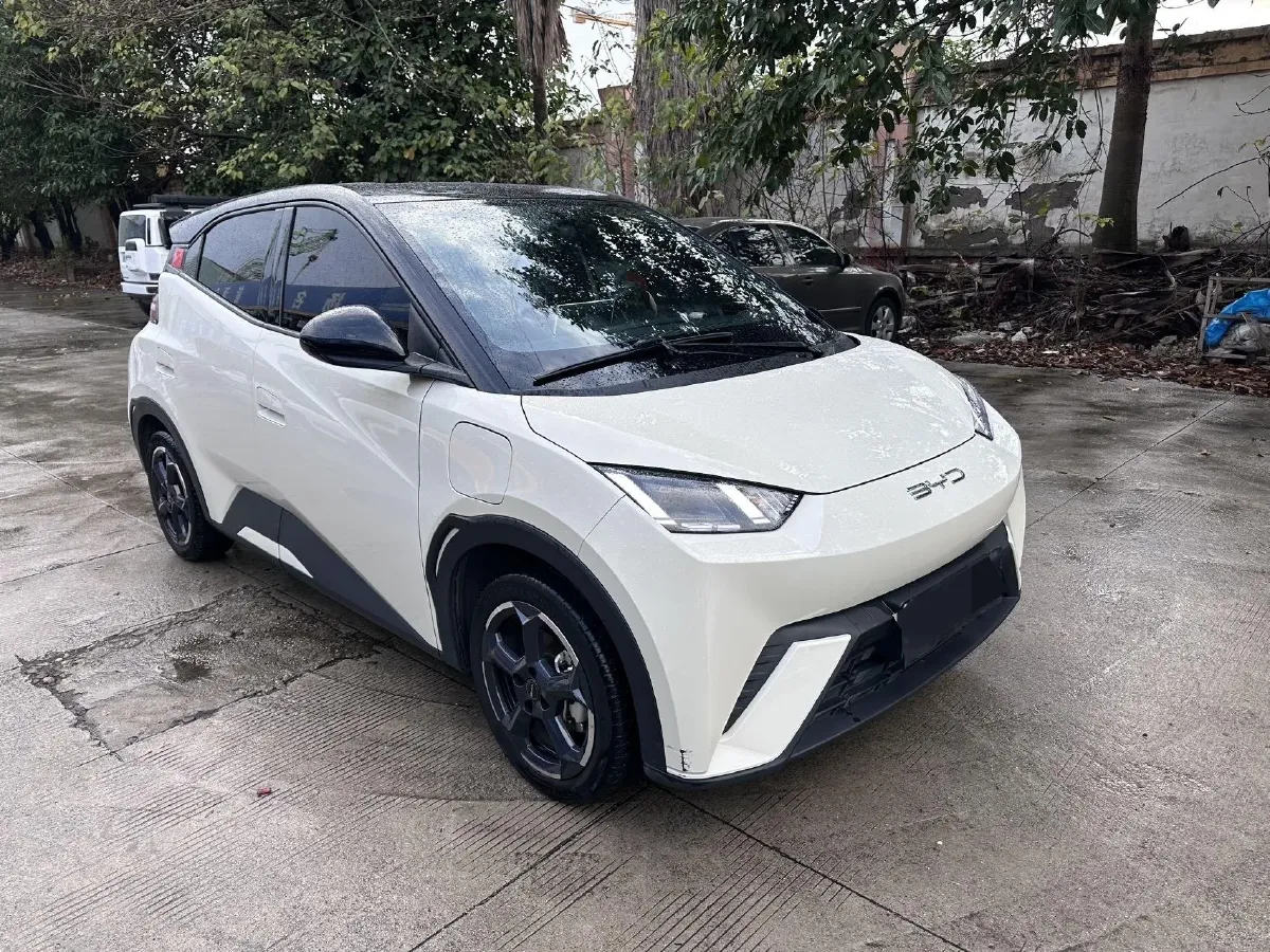 2023 BYD Seagull BEV 30.08KWH,autocango,china used car exporter,china ev exporter,chinese used car exporter,chinese used ev exporter