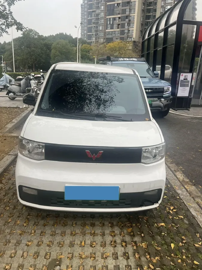 2021 WuLing HongGuang MINI EV BEV 13.8KWH,autocango,china used car exporter,china ev exporter,chinese used car exporter,chinese used ev exporter