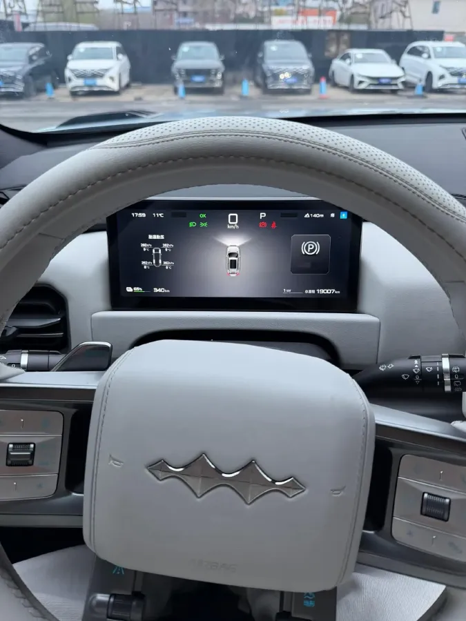 2025 FangChengBao Tai 3 BEV,autocango,china used car exporter,china ev exporter,chinese used car exporter,chinese used ev exporter