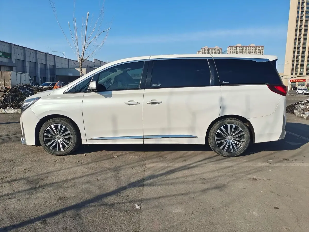 2021 GAC Trumpchi M8 2.0T 252HP L4 8AT,autocango,china used car exporter,china ev exporter,chinese used car exporter,chinese used ev exporter