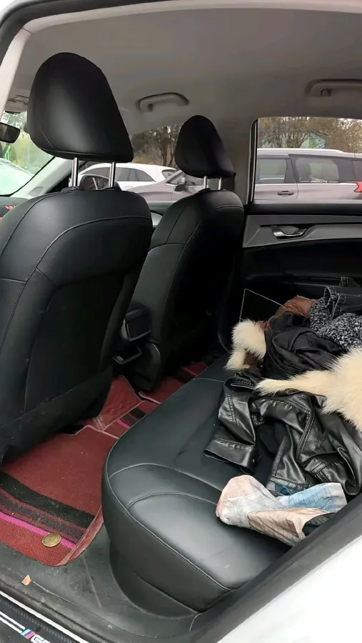 2024 Geometry A BEV 46.11KWH,autocango,china used car exporter,china ev exporter,chinese used car exporter,chinese used ev exporter