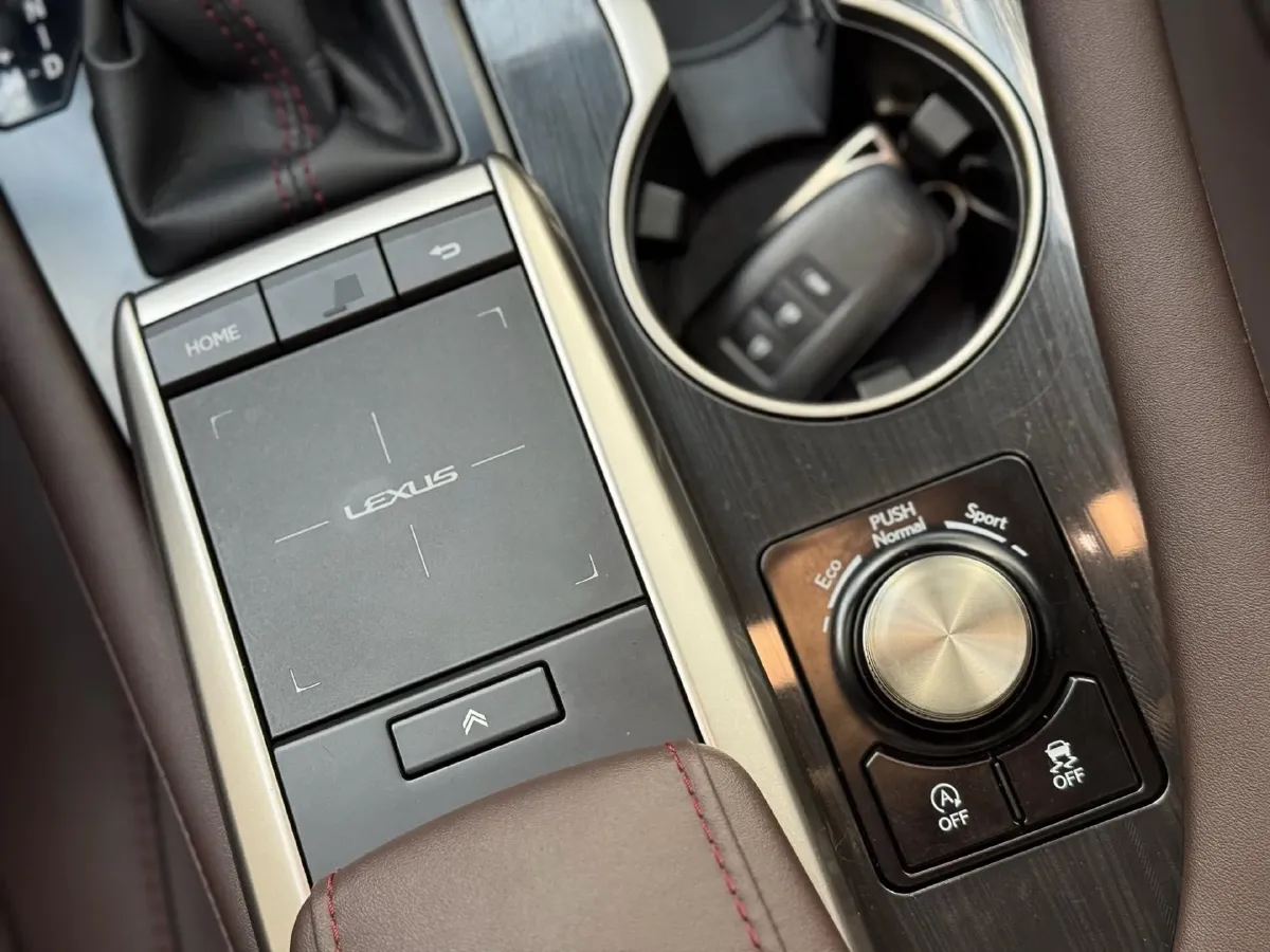 2020 Lexus RX 2.0T 231HP L4 6AT,autocango,china used car exporter,china ev exporter,chinese used car exporter,chinese used ev exporter