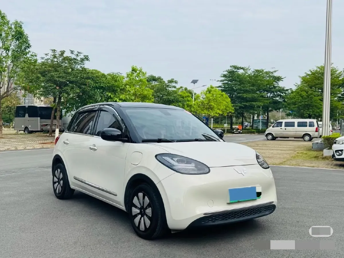 2023 WuLing BinGuo BEV 37.9KWH,autocango,china used car exporter,china ev exporter,chinese used car exporter,chinese used ev exporter