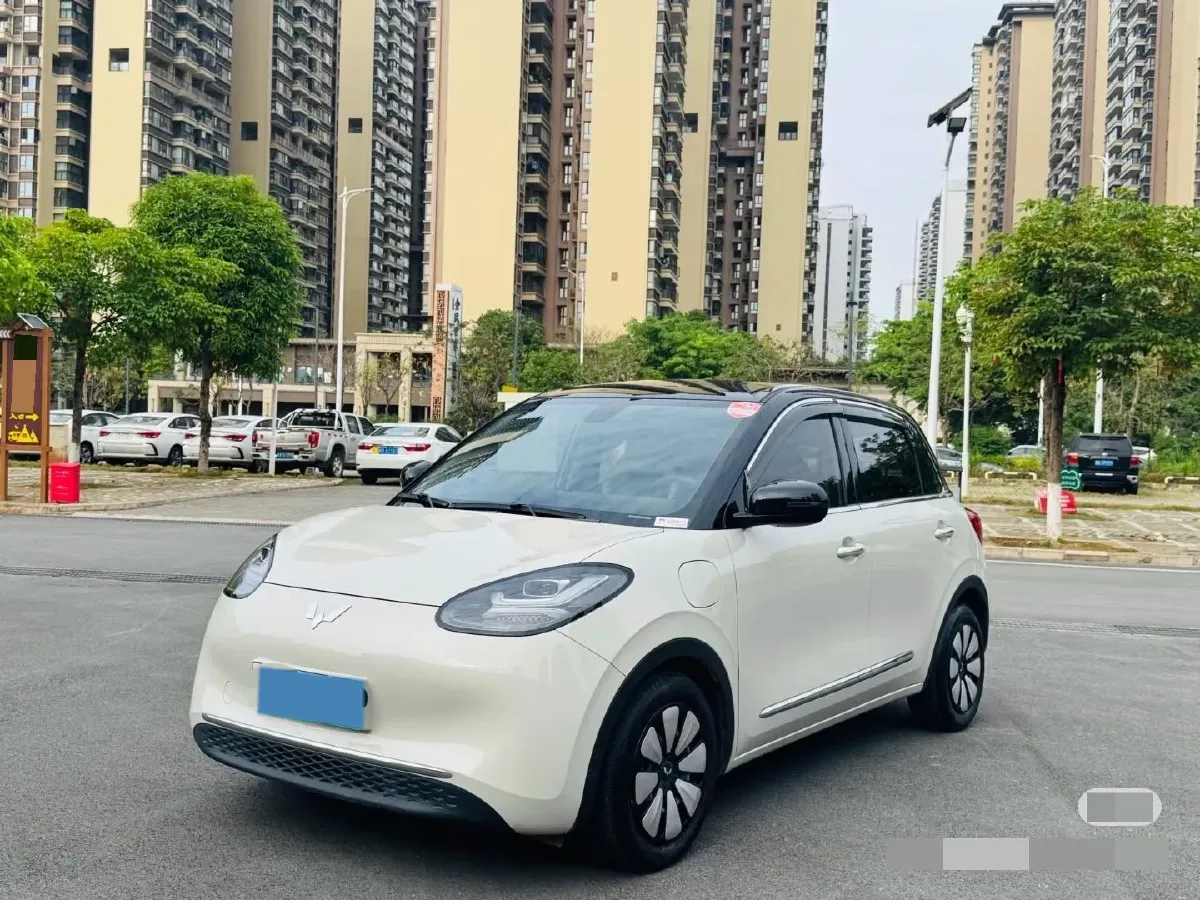 2023 WuLing BinGuo BEV 37.9KWH,autocango,china used car exporter,china ev exporter,chinese used car exporter,chinese used ev exporter