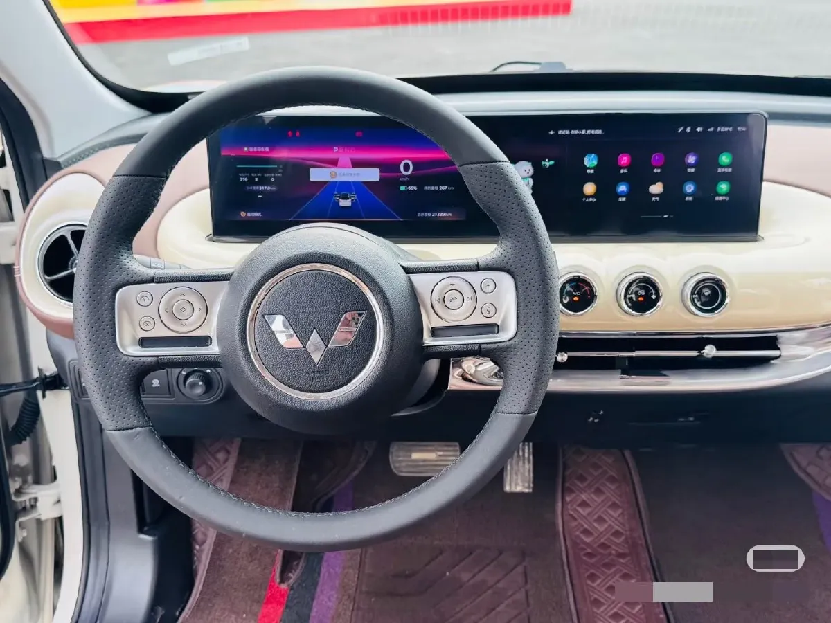 2023 WuLing BinGuo BEV 37.9KWH,autocango,china used car exporter,china ev exporter,chinese used car exporter,chinese used ev exporter