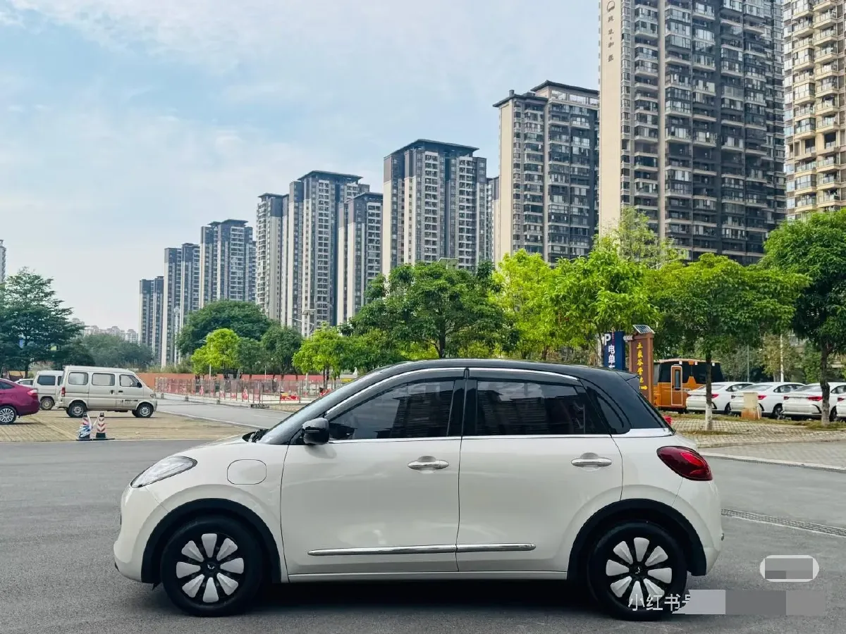 2023 WuLing BinGuo BEV 37.9KWH,autocango,china used car exporter,china ev exporter,chinese used car exporter,chinese used ev exporter