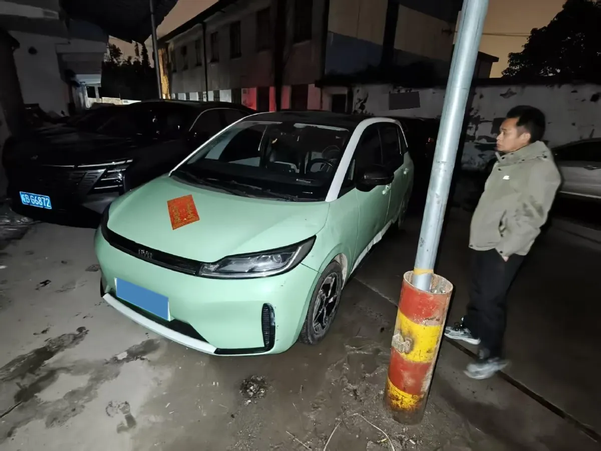 2021 BYD Qin Plus BEV 57KWH,autocango,china used car exporter,china ev exporter,chinese used car exporter,chinese used ev exporter