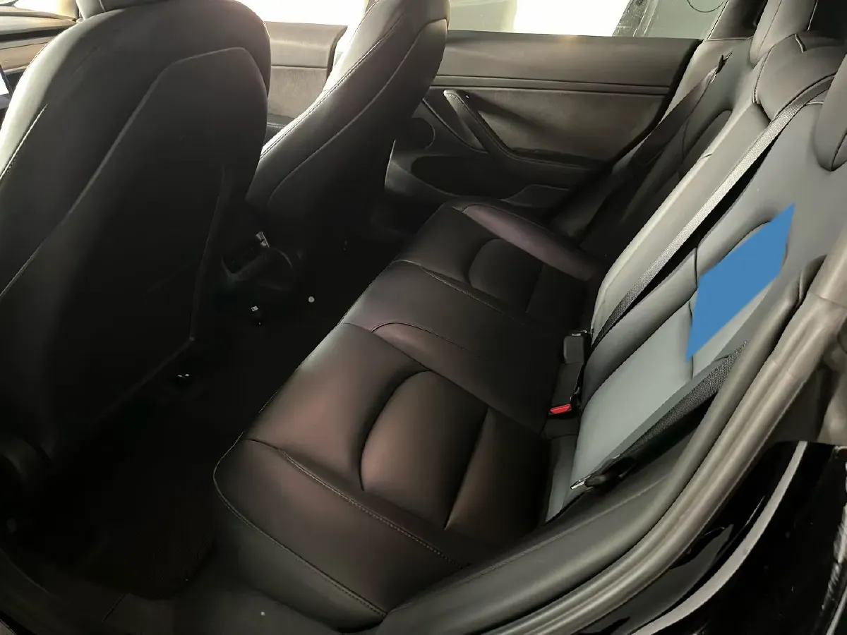 2020 Tesla Model 3 BEV 52KWH,autocango,china used car exporter,china ev exporter,chinese used car exporter,chinese used ev exporter